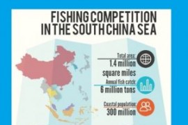 Fish for peace in the South China Sea