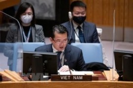 Vietnam urges enhanced awareness, enforcement of UNCLOS
