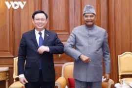 Verbesserung der Beziehungen zwischen Vietnam und Südkorea, Vietnam und Indien