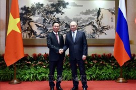Vietnamese President meets with Russian counterpart in Beijing